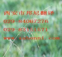 提供各小語種翻譯服務 價格、廠家與一站式解決方案